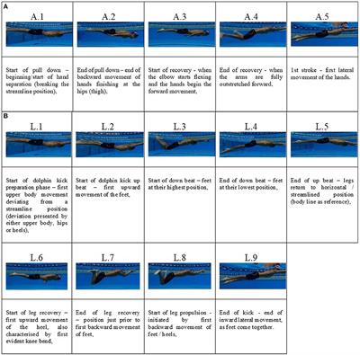 The characteristics of the breaststroke pullout in elite swimming